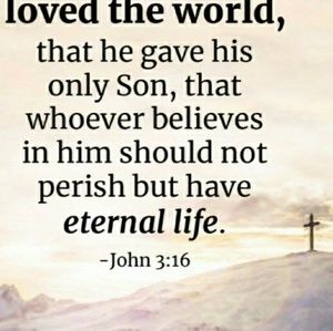 Meet your Posher, Rig8